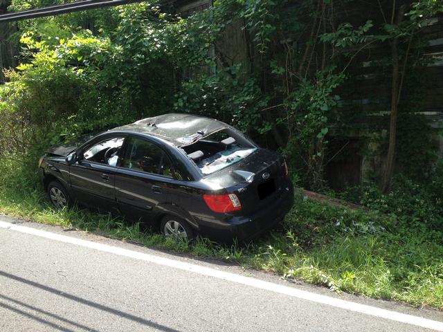 Vehicle Accident - Game Farm Rd. - LF Twp. - 06/22/2013